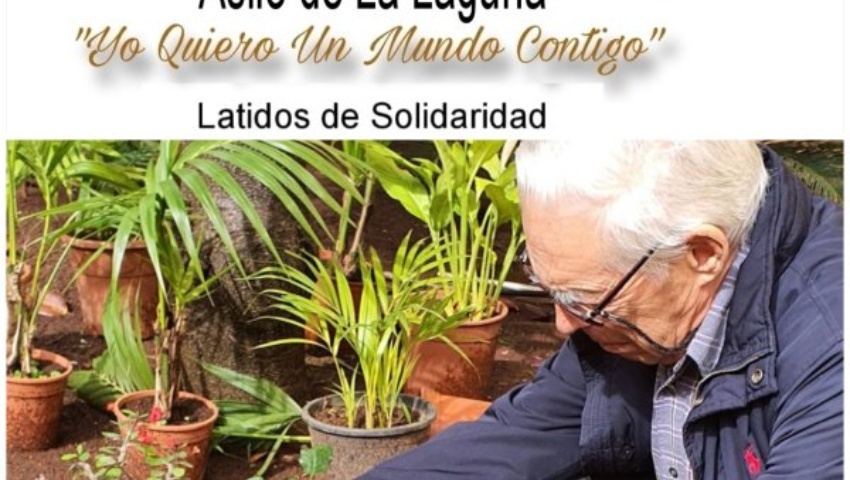 XVI Festival Solidario "Yo quiero un mundo contigo"