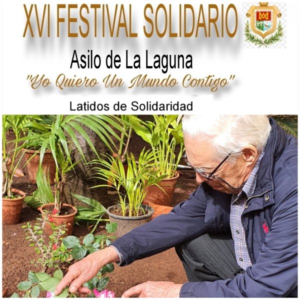 asilo